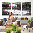 Sharks Arena Blackhawks Sharks Ice Hockey Stadium Wall Art