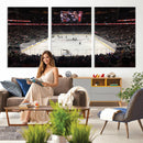 T Mobile Arena Paradise Nevada Vegas Golden Knights Ice