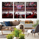 Carolina Hurricanes Ice Hockey Stadium Wall Art, Carolina