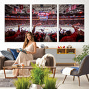 Carolina Hurricanes Ice Hockey Stadium Wall Art, Carolina