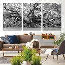 Black White Angel Oak Tree Wall Art - Timeless