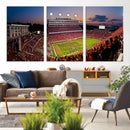 NC State Wolfpack Football Team Print - Raleigh