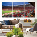 Wisconsin Badgers Football Team Print - Madison Camp Randall by MyGreatCanvas | Canvas Wall Art Prints | Photo Prints & Wall Decor