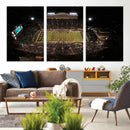 Wake Forest University Demon Deacons Canvas Printi, Football