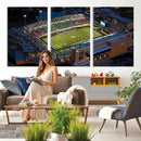 University of North Texas Mean Green Football Artwork,