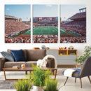 Framed Texas Memorial Stadium Canvas, University of Texas