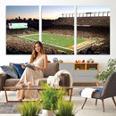 Darrell K Royal-Texas Memorial Stadium Canvas Wall Art -