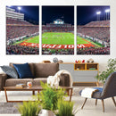 Wolfpack Football Team Print - Raleigh Carter-Finley Stadium