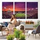 East Carolina University Pirates Football Print Canvas-