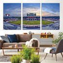 Florida Atlantic University Owls Football Team Print - Boca by MyGreatCanvas | Canvas Wall Art Prints | Photo Prints & Wall Decor