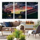 University of Illinois Fighting Illini Football Team Print -