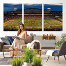 University of Illinois Fighting Illini Football Team Print -