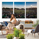 University of Charlotte 49ers Football Team Print -