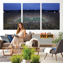 University of Michigan Wolverines Football Team Print - Ann