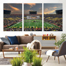 University of Michigan Wolverines Print Canvas, Football