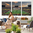 University of Michigan Wolverines Print Canvas, Football