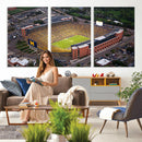 University of Michigan Wolverines Football Team Print - Ann