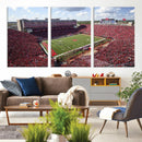 University of Nebraska Cornhuskers Football Team Print -