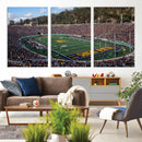 University of California Golden Bears Football Team Print - by MyGreatCanvas | Canvas Wall Art Prints | Photo Prints & Wall Decor