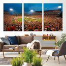 Clemson University Tigers Football Team Print - Clemson