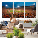 Clemson University Tigers Football Team Print - Clemson