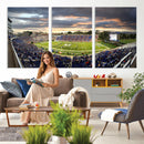 Duke University Blue Devils Football Team Print - Durham