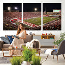 Indiana University Hoosiers Football Team Print Canvas -