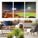 Iowa State University Cyclones Art Print, Football Team