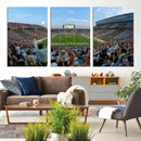 Michigan State Spartans Football Team Art Print - East