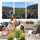 Michigan State Spartans Football Team Art Print - East