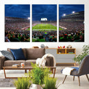 Michigan State Spartans Football Team Print - East Lansing