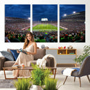 Michigan State Spartans Football Team Print - East Lansing