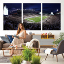 Michigan State Spartans Canvas, Framed Football Team Print -