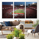 Ohio State University Buckeyes Football Team Print -