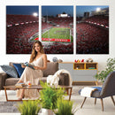 Ohio State University Buckeyes Football Team Print -