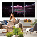 Ohio State University Buckeyes Football Team Print -