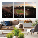 Ohio State University Buckeyes Football Team Print -