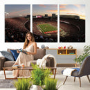 Ohio State University Buckeyes Football Team Print -