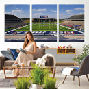 Rice University Owls Football Team Print - Houston Rice