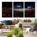 Rutgers Scarlet Knights Football Team Print - SHI Stadium,