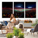 Rutgers Scarlet Knights Football Team Print - SHI Stadium,