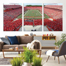 Rutgers Scarlet Knights Football Team Print - Piscataway SHI by MyGreatCanvas | Canvas Wall Art Prints | Photo Prints & Wall Decor