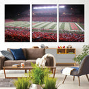Rutgers University Scarlet Knights Football Team Print -