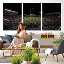 Framed Texas Tech Red Raiders Stadium Canvas, Texas Tech Red