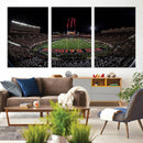 Framed Texas Tech Red Raiders Stadium Canvas, Texas Tech Red