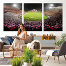 University of Maryland Terrapins Football Team Print -