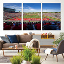Ball State Cardinals Football Team Print - Muncie Scheumann