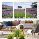 TCU Horned Frogs Football Team Print - Fort Worth Amon G.