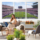 TCU Horned Frogs Football Team Print - Fort Worth Amon G.