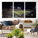 TCU Horned Frogs Football Team Print - Fort Worth Amon G.